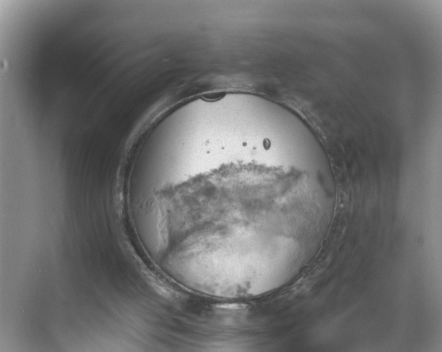 X0000068850053200605121420