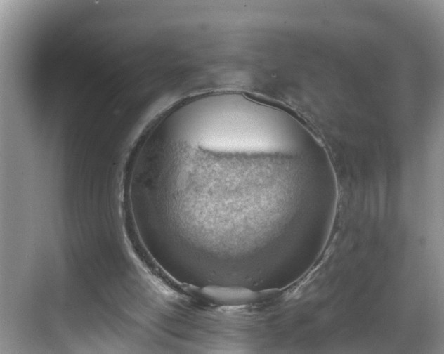 X0000068850054200605121420