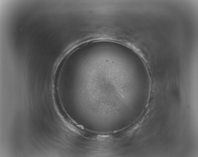 X0000068850055200605121420