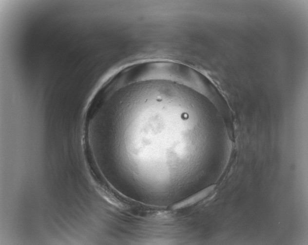 X0000068850056200605121420