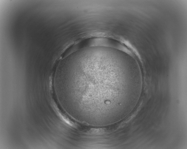 X0000068850057200605121420