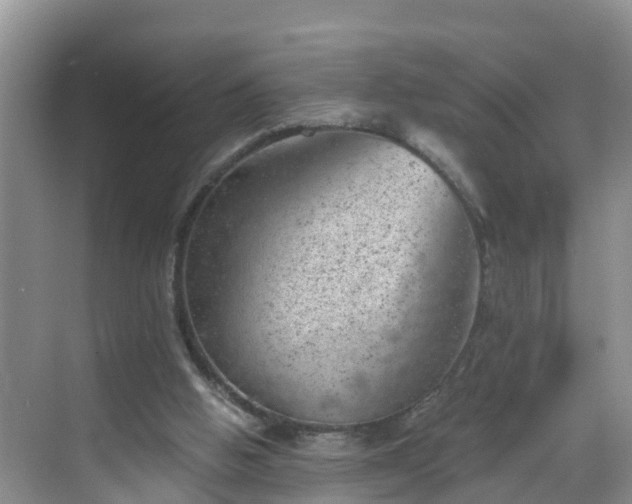 X0000068850058200605121420