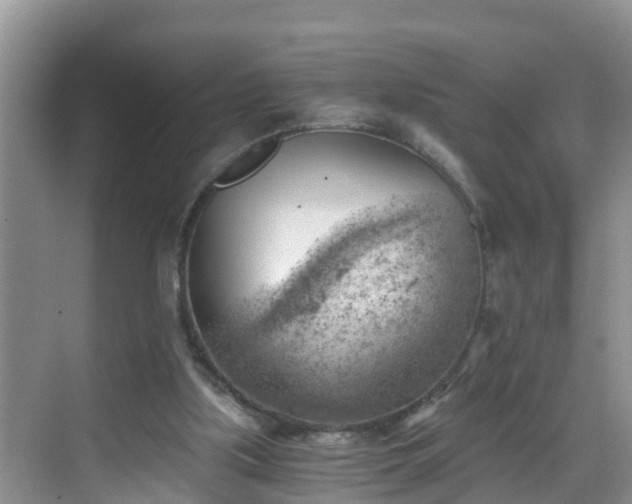 X0000068850059200605121420