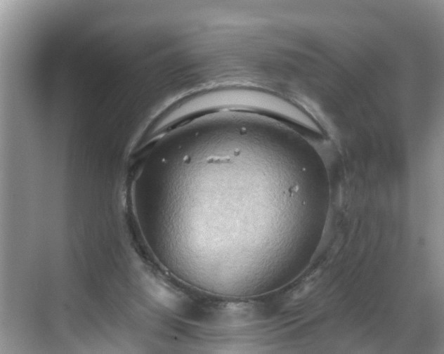 X0000068850060200605121420