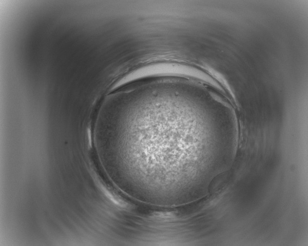 X0000068850061200605121420