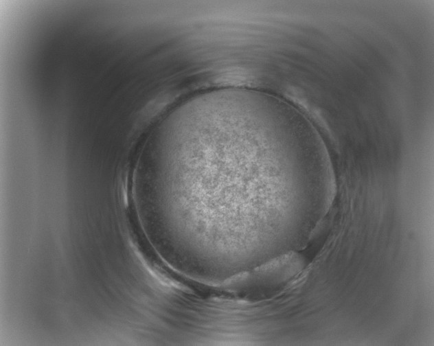 X0000068850062200605121420