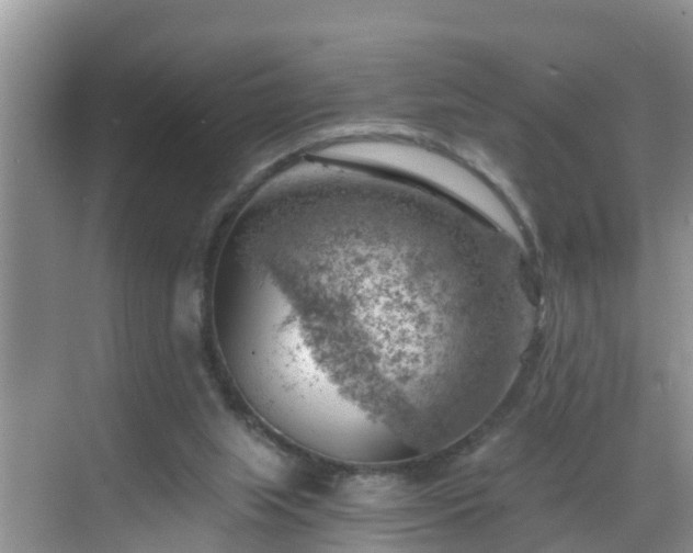 X0000068850063200605121420