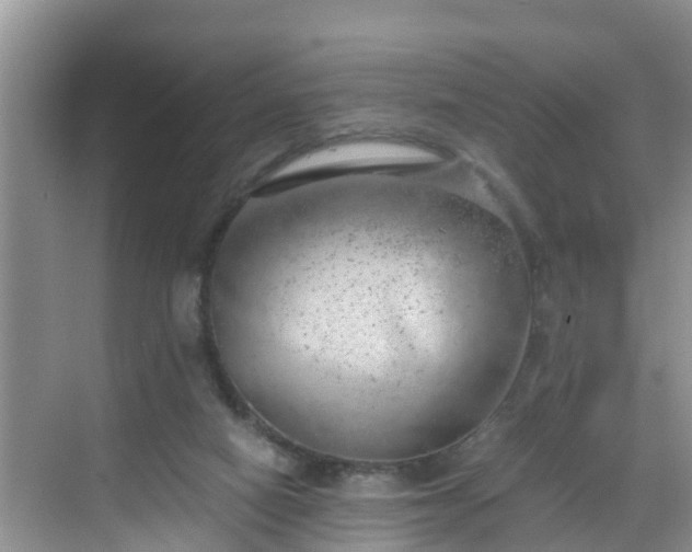 X0000068850066200605121420