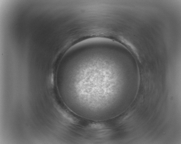 X0000068850067200605121420