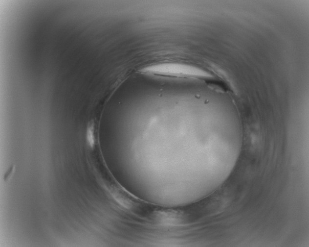 X0000068850069200605121420