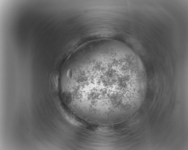 X0000068850070200605121420