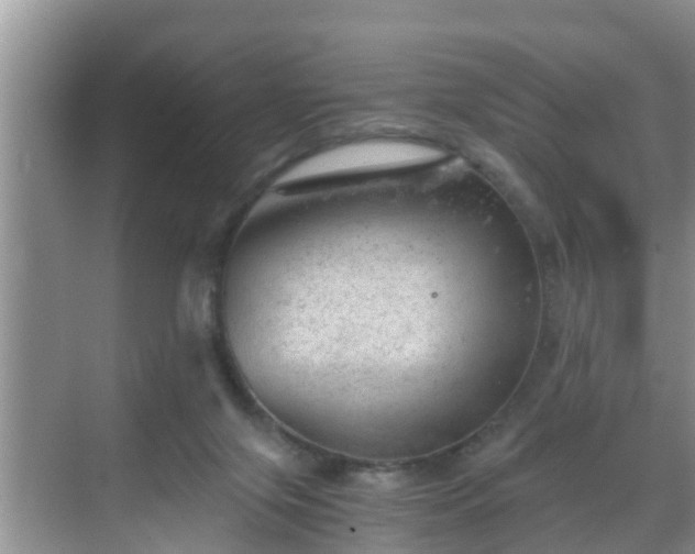 X0000068850071200605121420