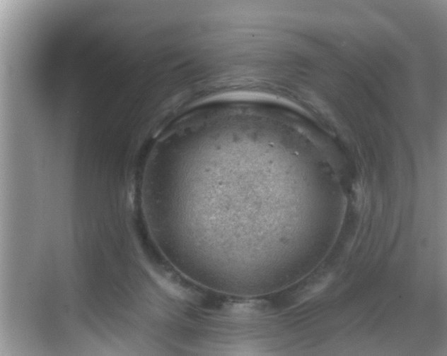 X0000068850072200605121420