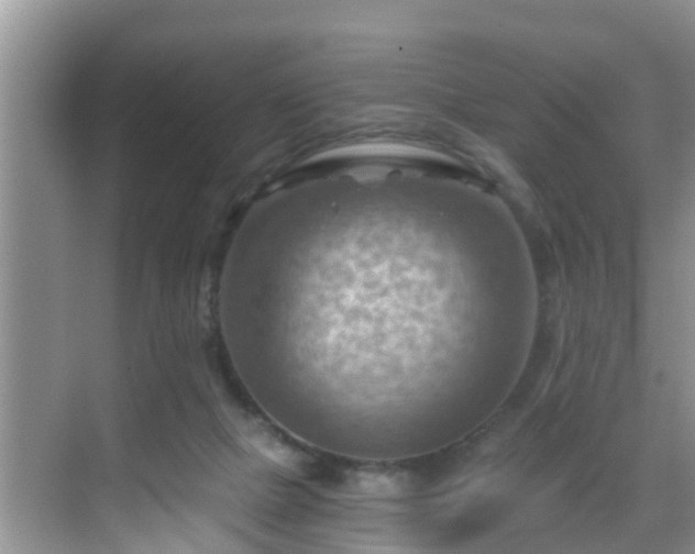 X0000068850073200605121420