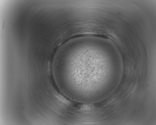 X0000068850077200605121420