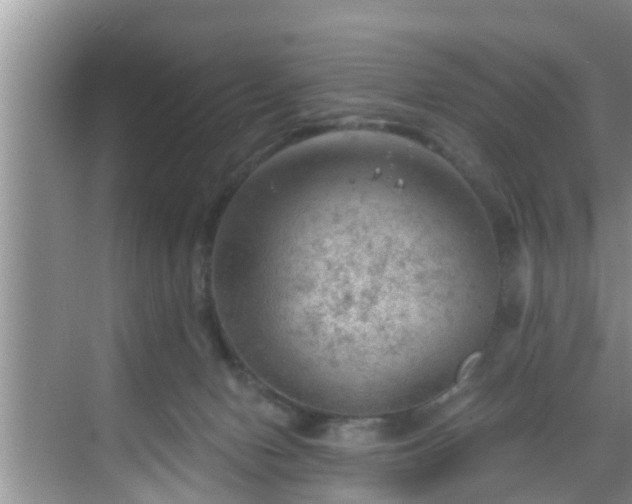 X0000068850078200605121420