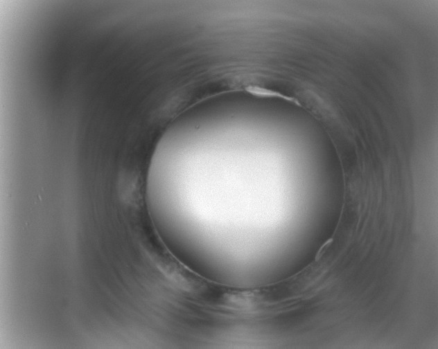 X0000068850079200605121420