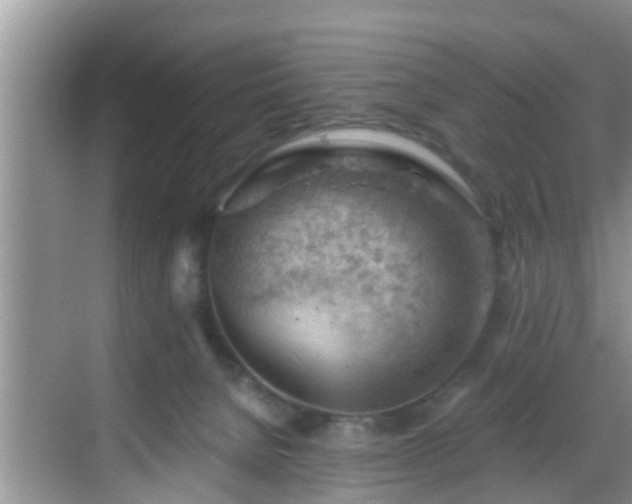 X0000068850080200605121420