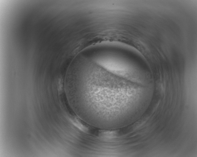 X0000068850081200605121420