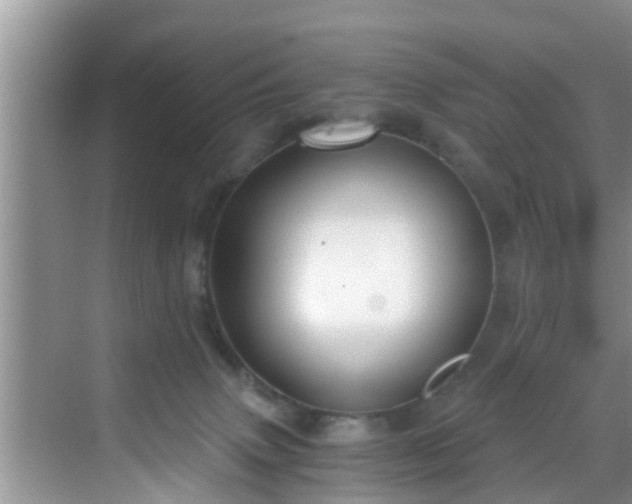 X0000068850083200605121420