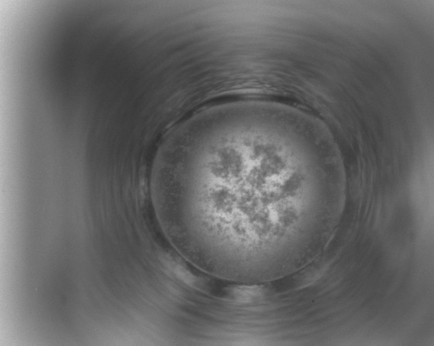 X0000068850085200605121420