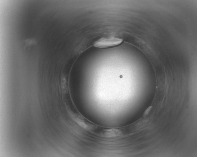 X0000068850087200605121420