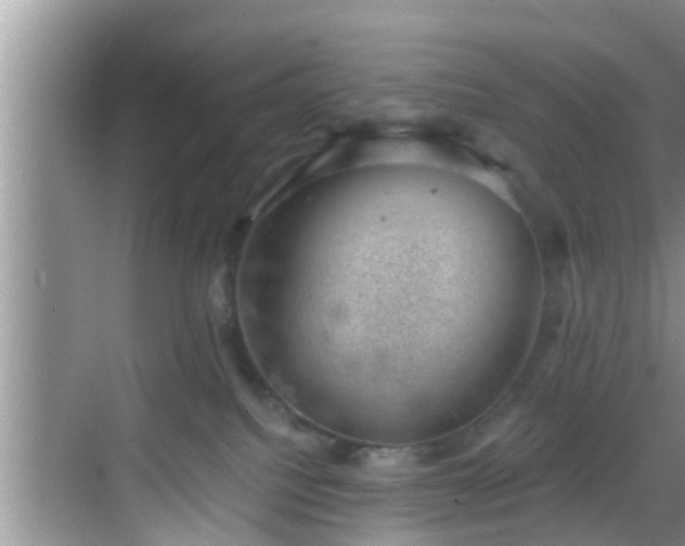 X0000068850088200605121420