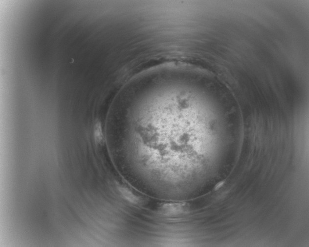 X0000068850089200605121420