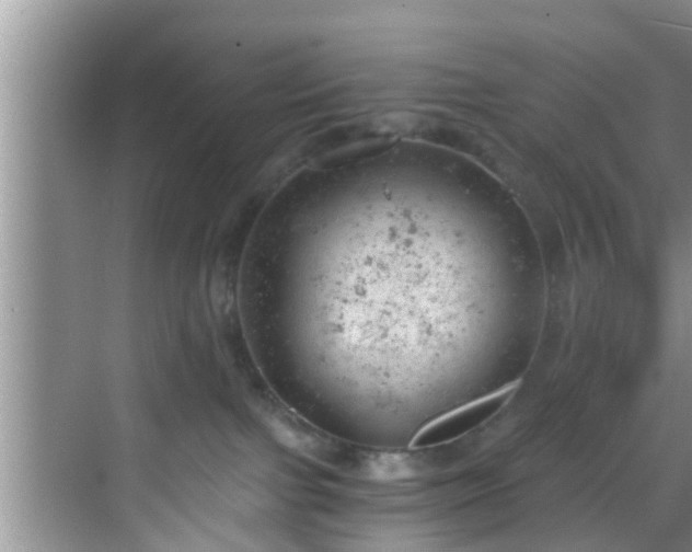 X0000068850091200605121420