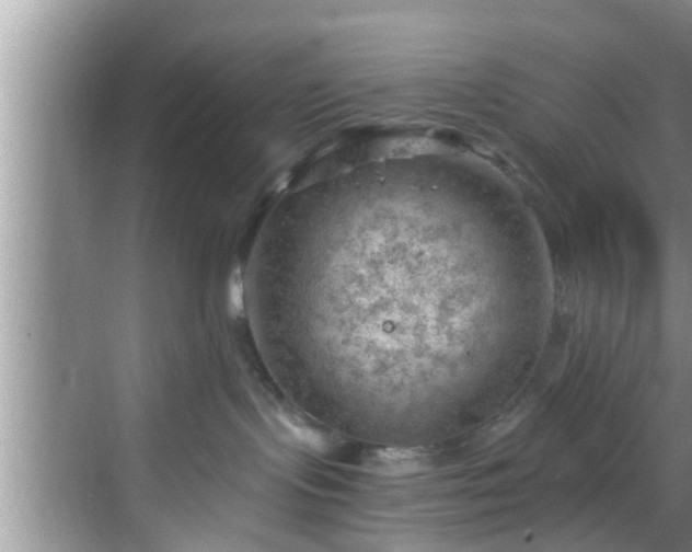 X0000068850095200605121420