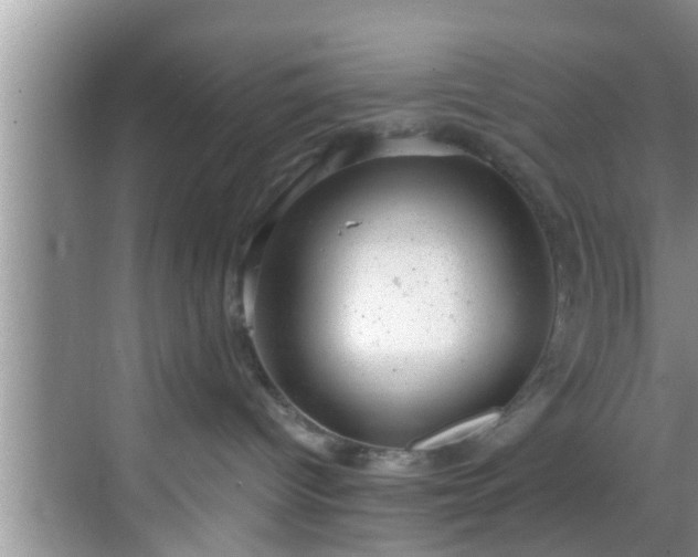 X0000068850096200605121420