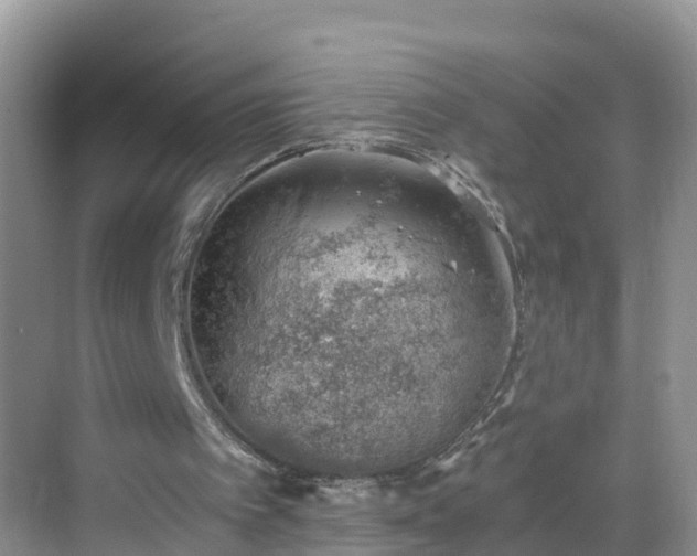 X0000068850097200605121420