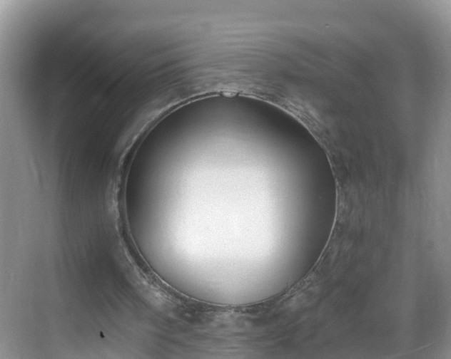 X0000068850098200605121420