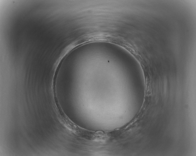 X0000068850099200605121419