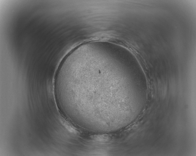 X0000068850100200605121419