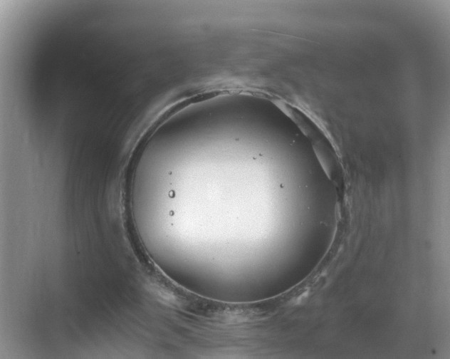 X0000068850103200605121419