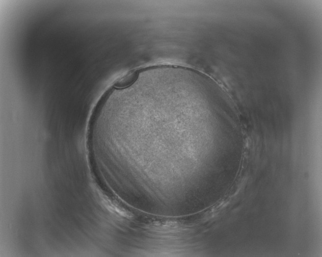 X0000068850104200605121419