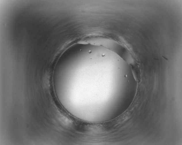 X0000068850106200605121419