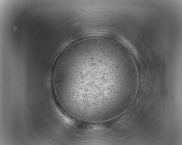 X0000068850107200605121419