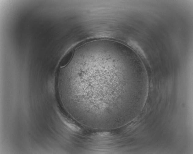 X0000068850108200605121419