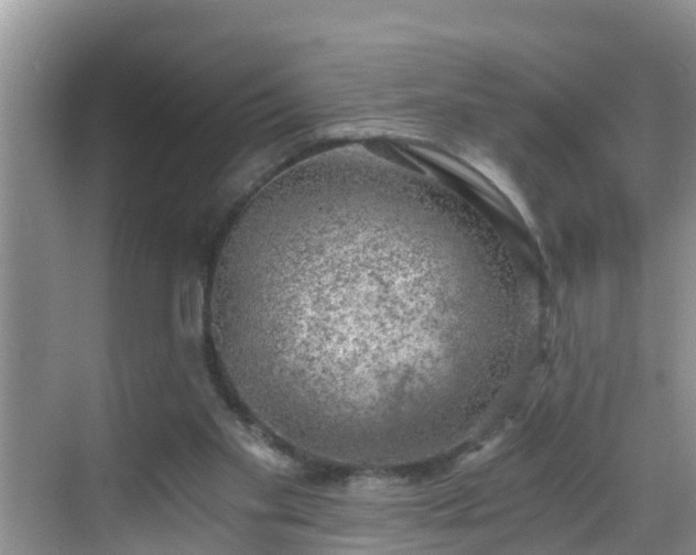 X0000068850109200605121419