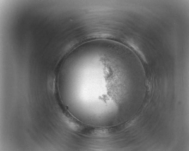 X0000068850110200605121419