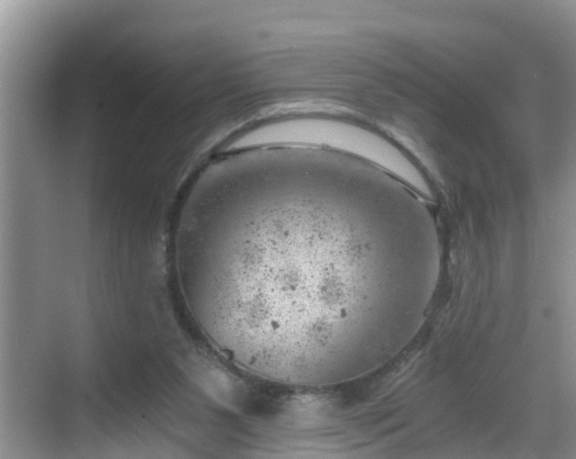 X0000068850111200605121419