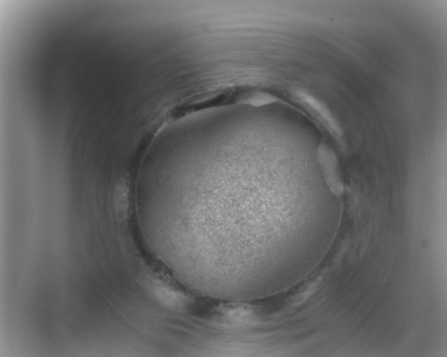 X0000068850113200605121419