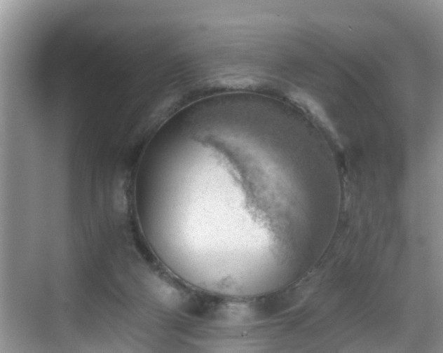 X0000068850114200605121419