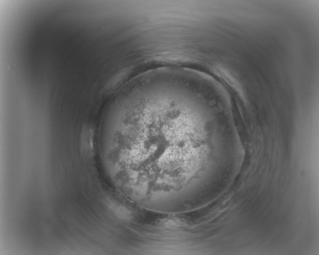 X0000068850115200605121419