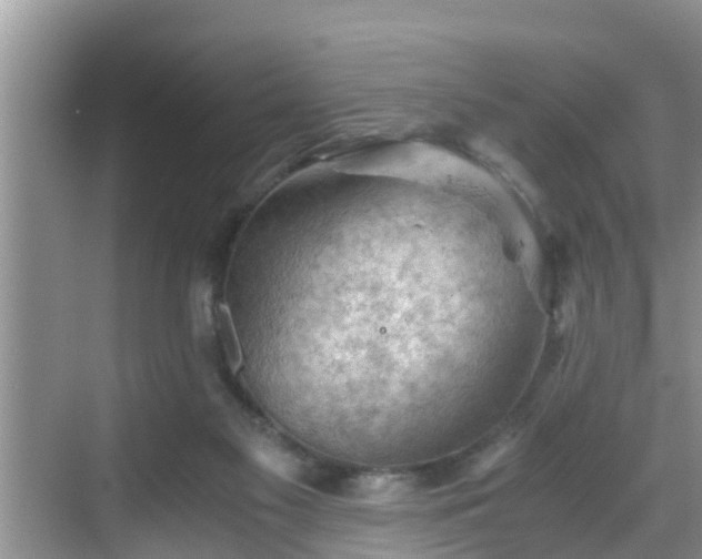 X0000068850117200605121419