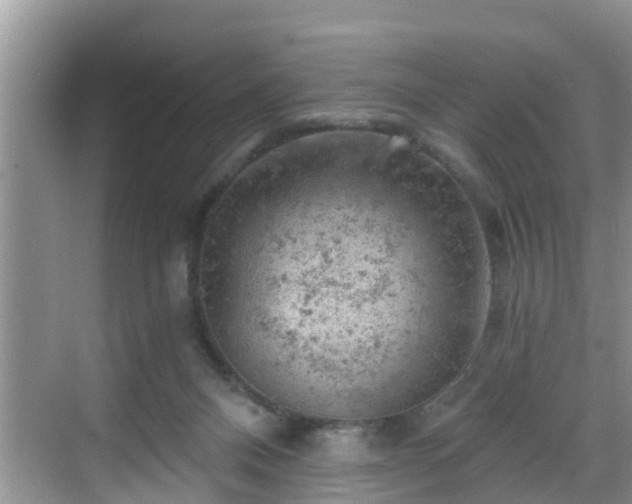 X0000068850120200605121419