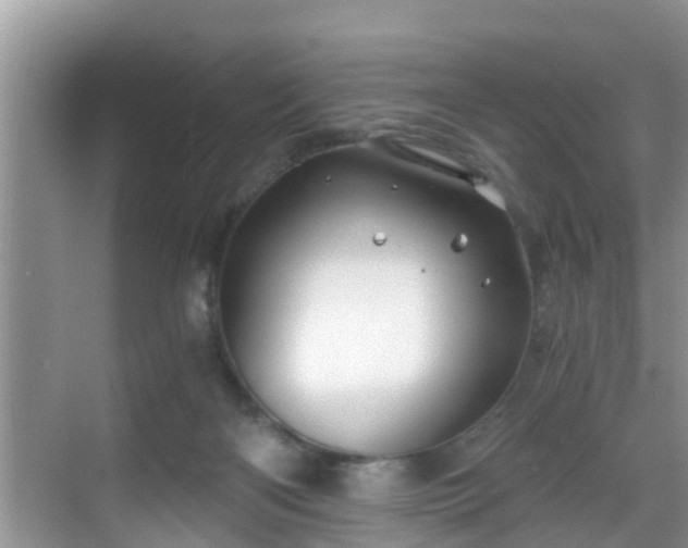 X0000068850122200605121419