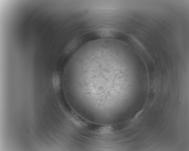 X0000068850124200605121419